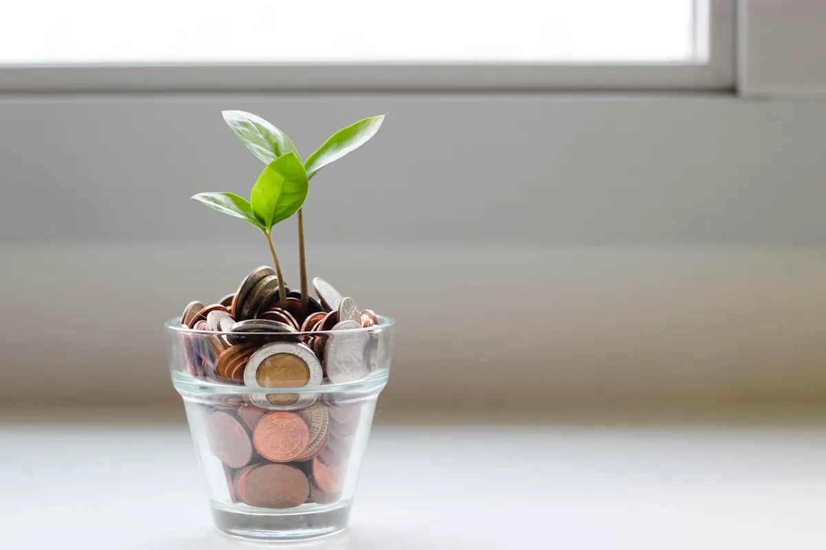 What you can achieve with content marketing services shown through growth metaphor of compounding organic traffic for SaaS D2C and B2B Indian brands